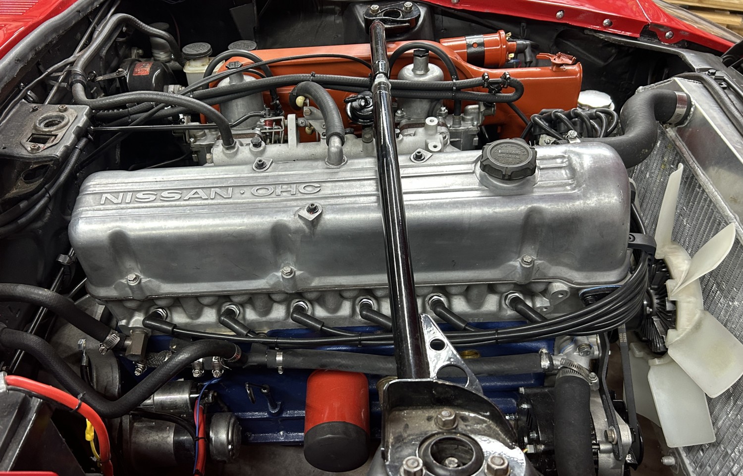 Ace 240z